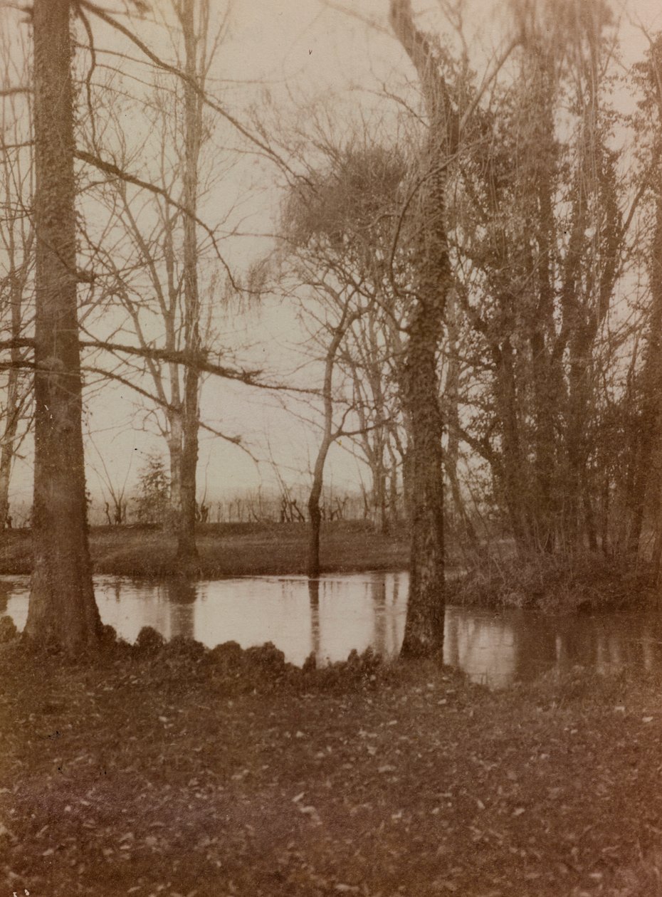 Album van de Eerste Wereldoorlog in Friuli-Venezia Giulia: de vijver in het park van Villa Brazza, Oorlogshospitaal nr. 17, Soleschiano Manzano door L. Verdiani
