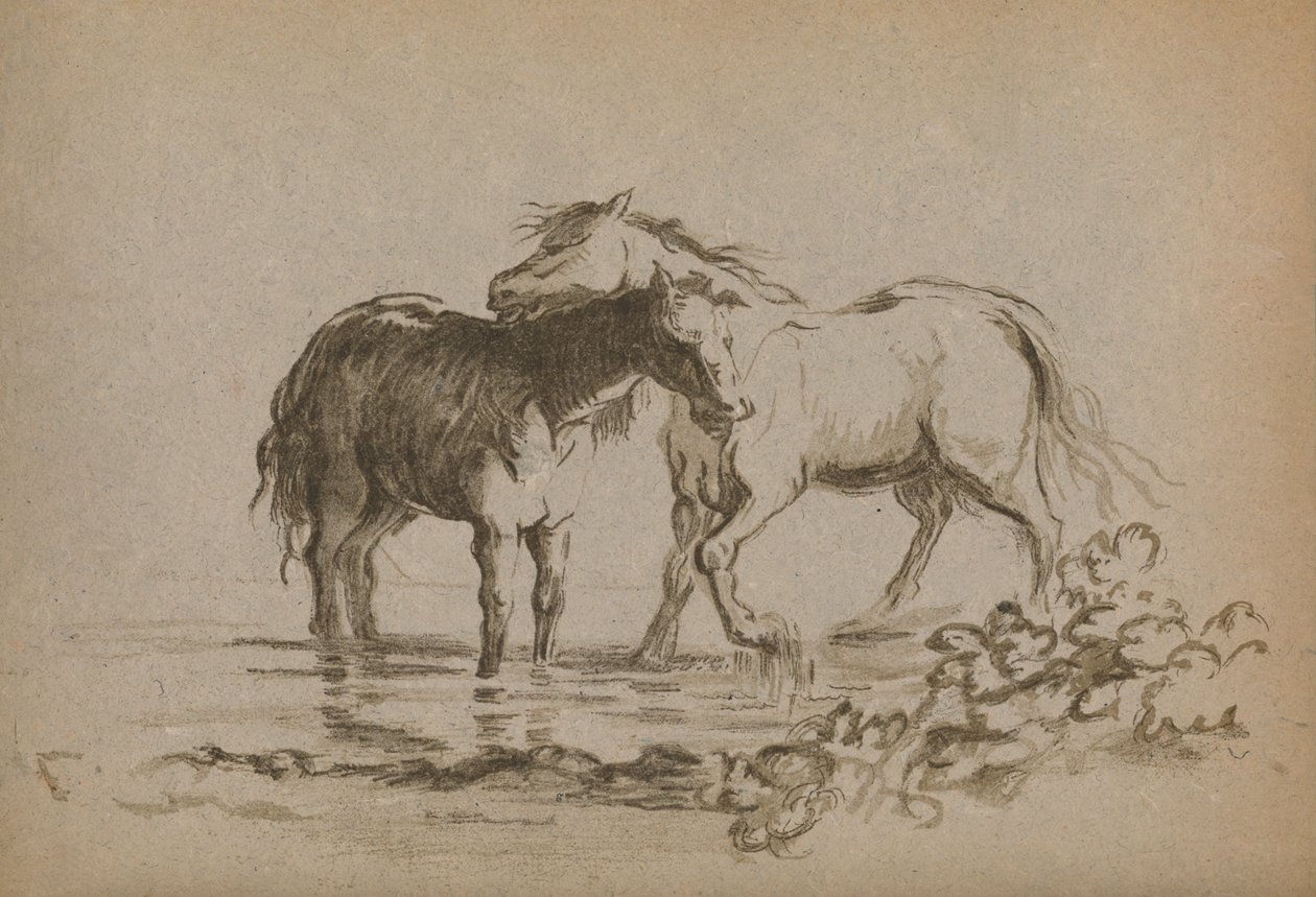Paarden, 1903 door Lady Diana Spencer