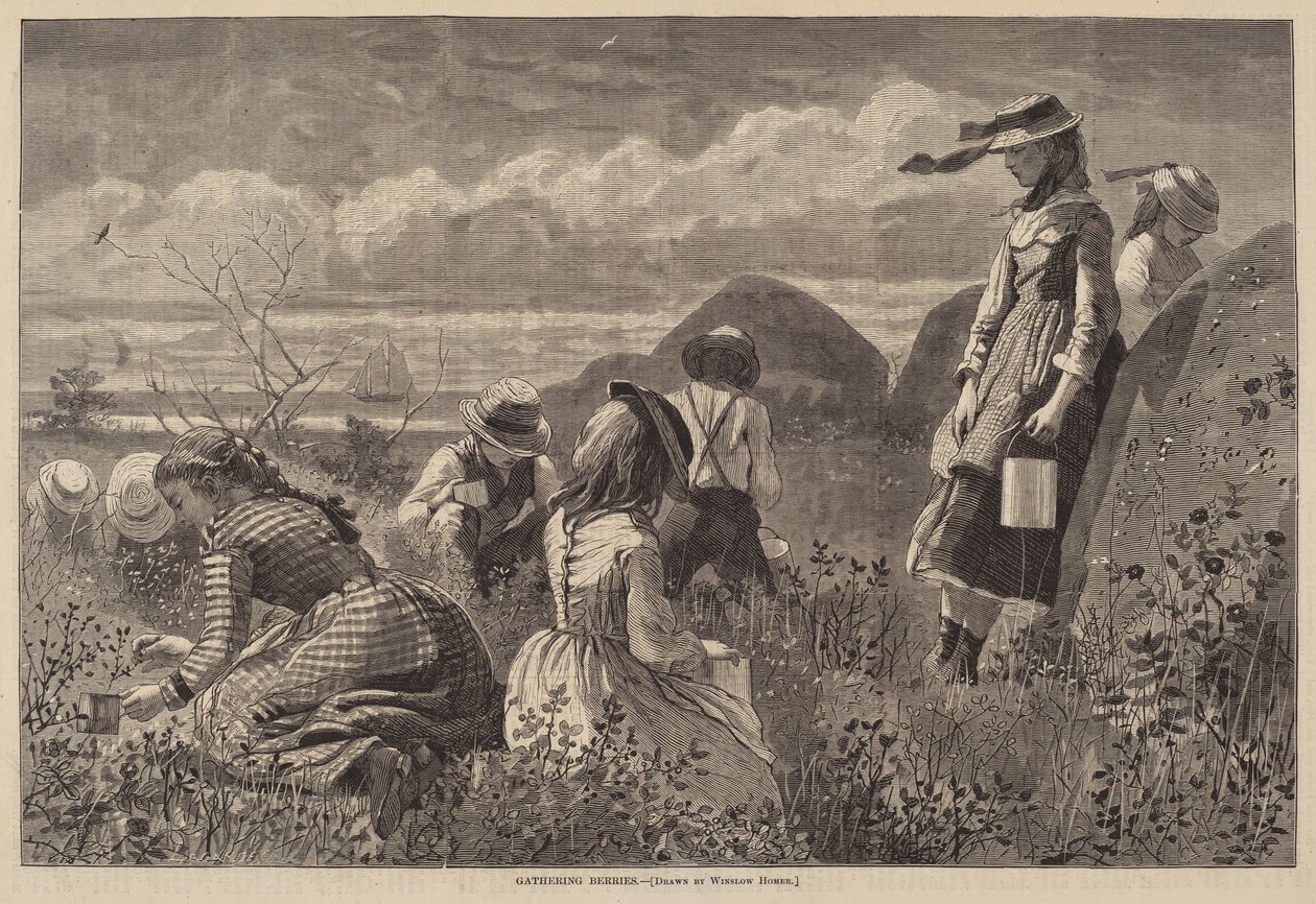 Bessen Plukken door Lagarde after Winslow Homer