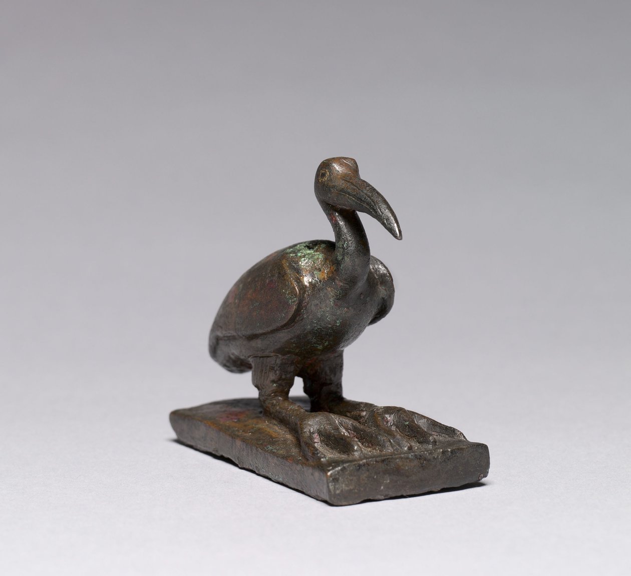 Ibis door Late Period Egyptian