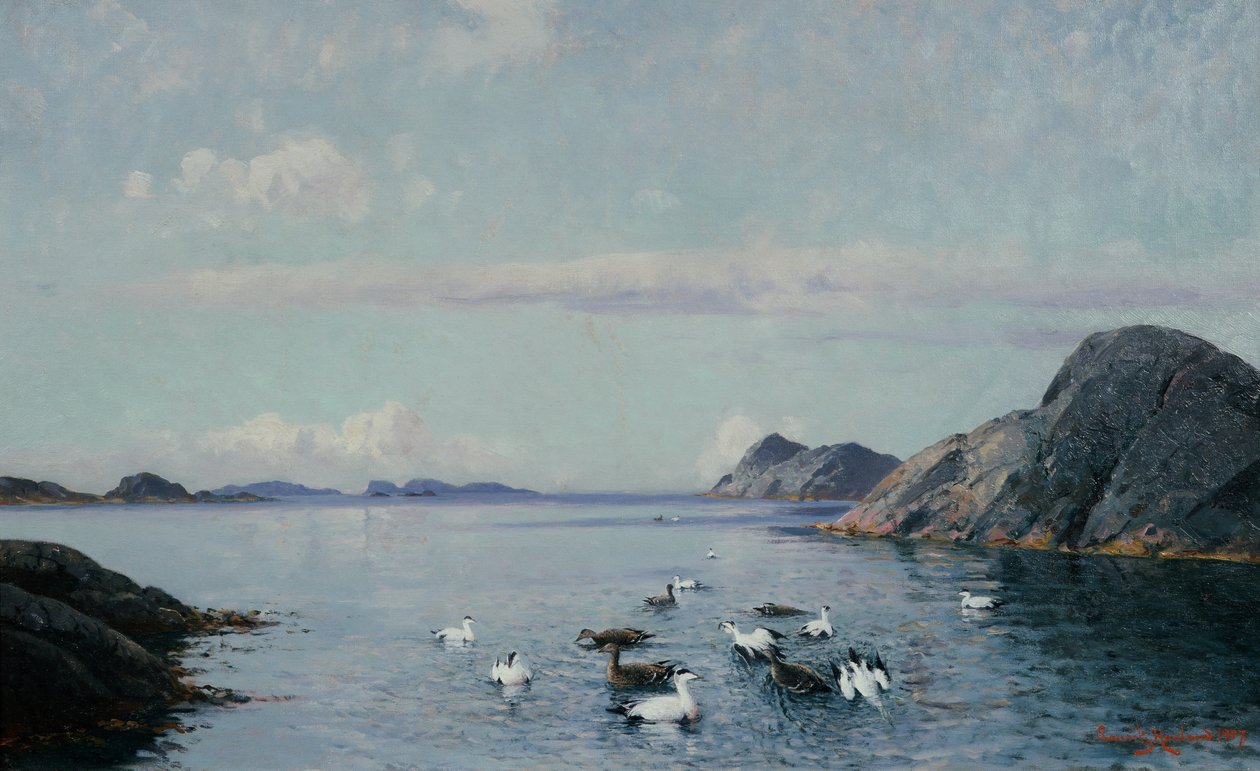Zuidkust met zeevogels door Lauritz Haaland