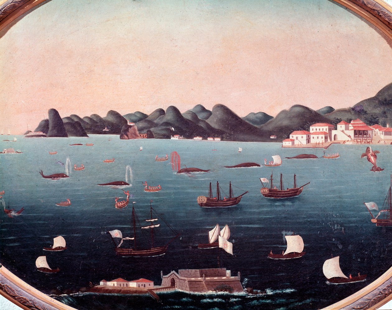 Walvisvangst in de Baai van Guanabara in Brazilië door Leandro Joachim