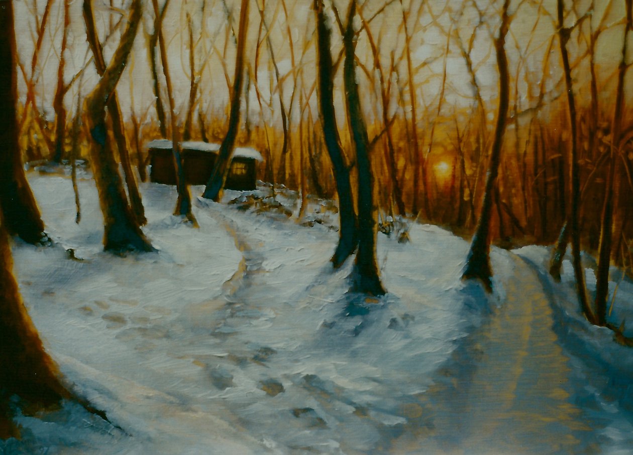 Besneeuwde Bossen 2002 Zonsondergang door Lee Campbell