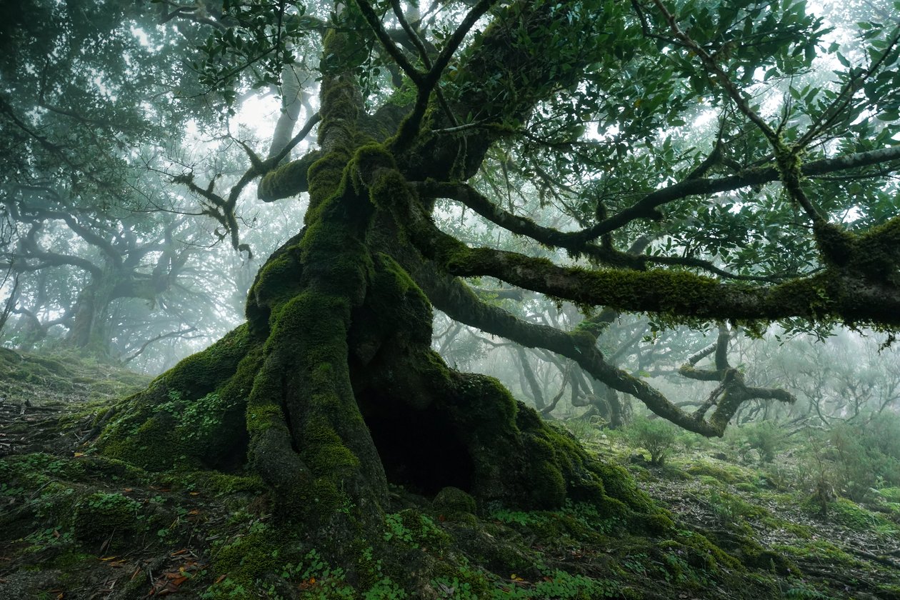 Vergeten land, 2025 (foto) door Lee Cooper