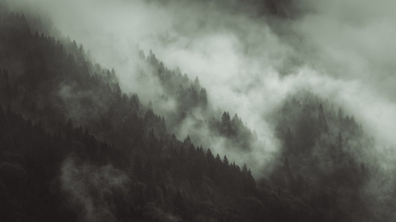 Tangled, 2022 (foto) door Lee Cooper