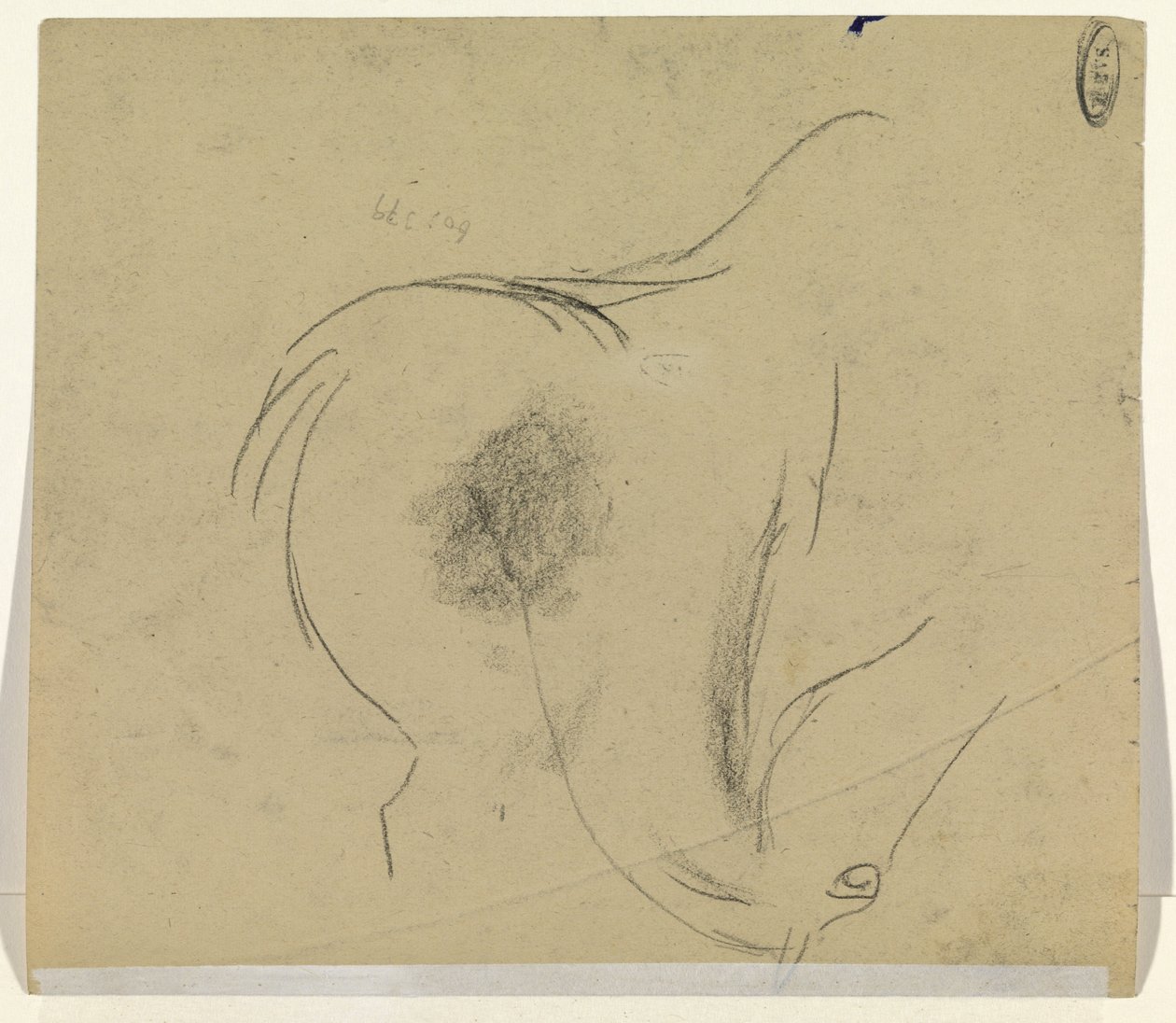 Paardenhoofd door Leo Gestel