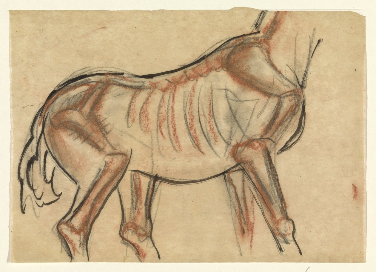 Skelet van een paard door Leo Gestel