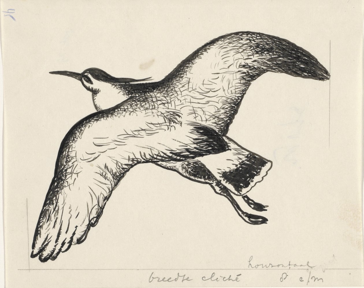 Vliegende vogel door Leo Gestel