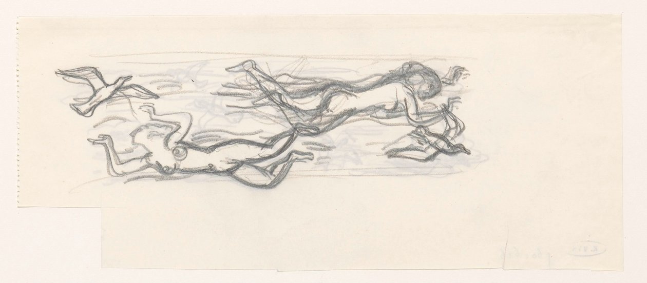 Zwevende naakte vrouwen in de lucht tussen de zeemeeuwen door Leo Gestel