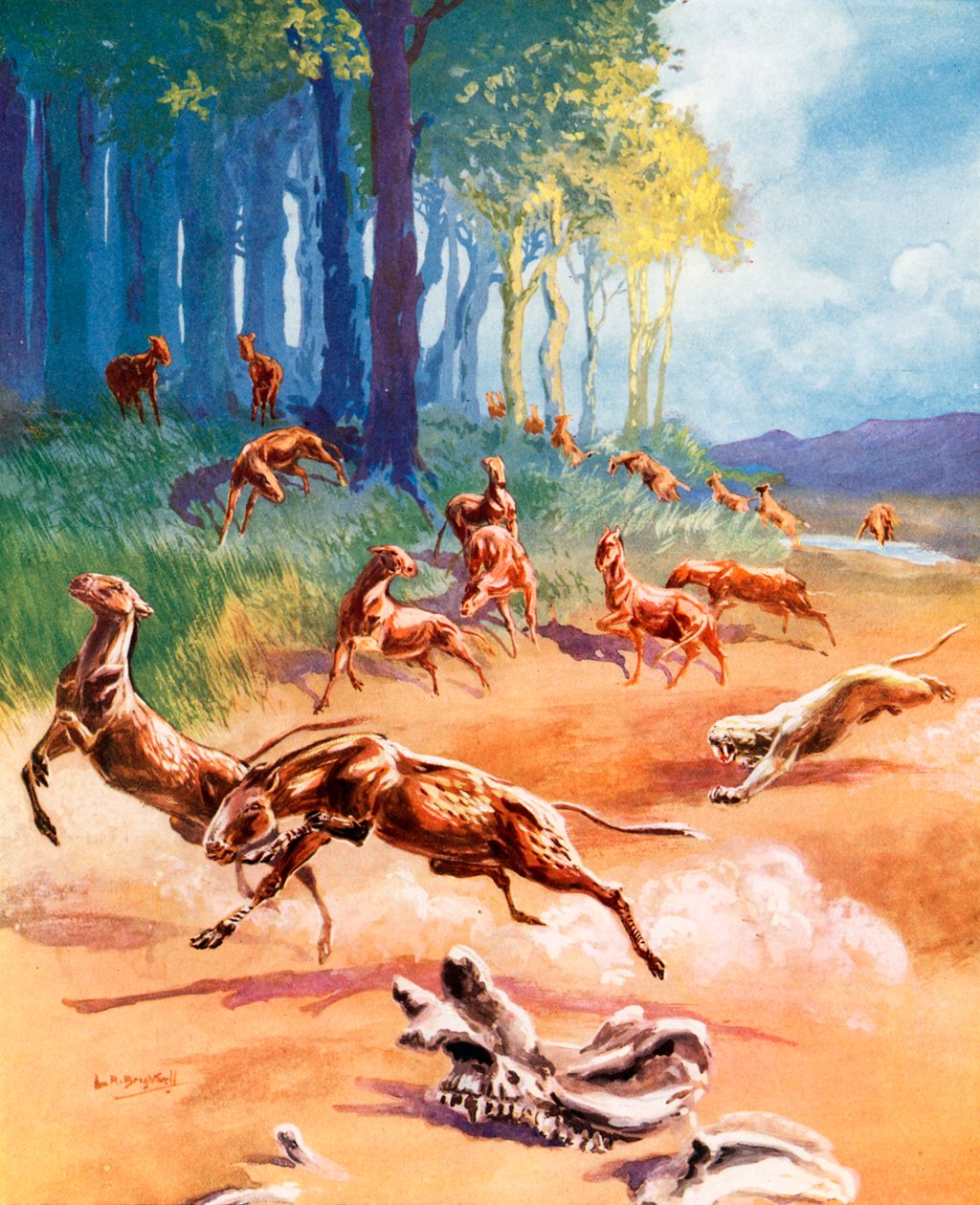 Een scène uit de evolutie van het paard (kleurenlitho) door Leonard Robert Brightwell