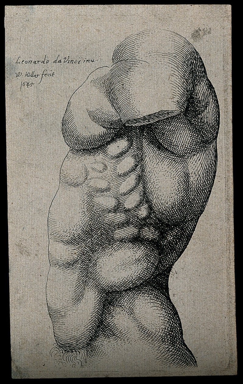 Een mannelijk torso zonder arm door Leonardo da Vinci
