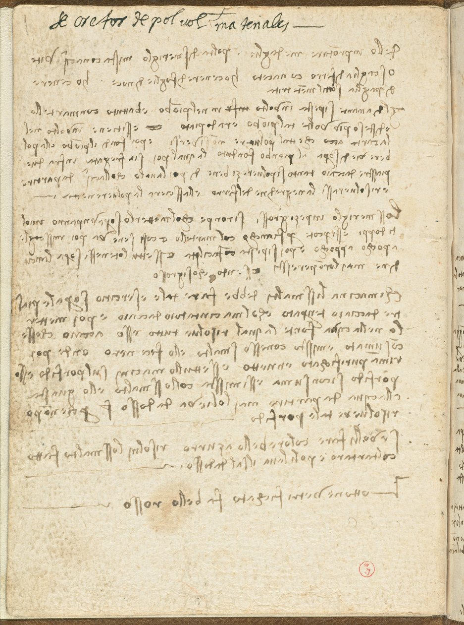 Vogelvluchtcode, c. 1505-06, papieren manuscript, cc. 18, Omslag II door Leonardo da Vinci