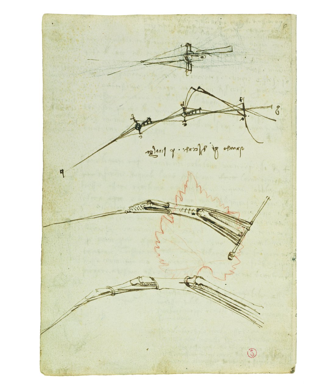 Codex over de vlucht van vogels, Folio 11 verso door Leonardo da Vinci