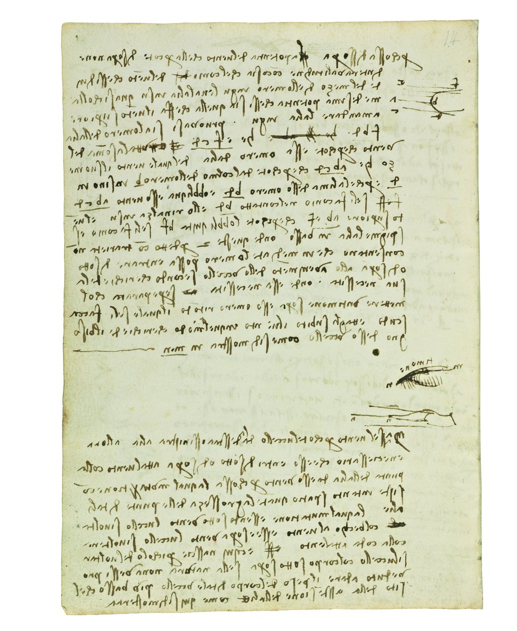 Codex over de vlucht van vogels, Folio 9 verso door Leonardo da Vinci