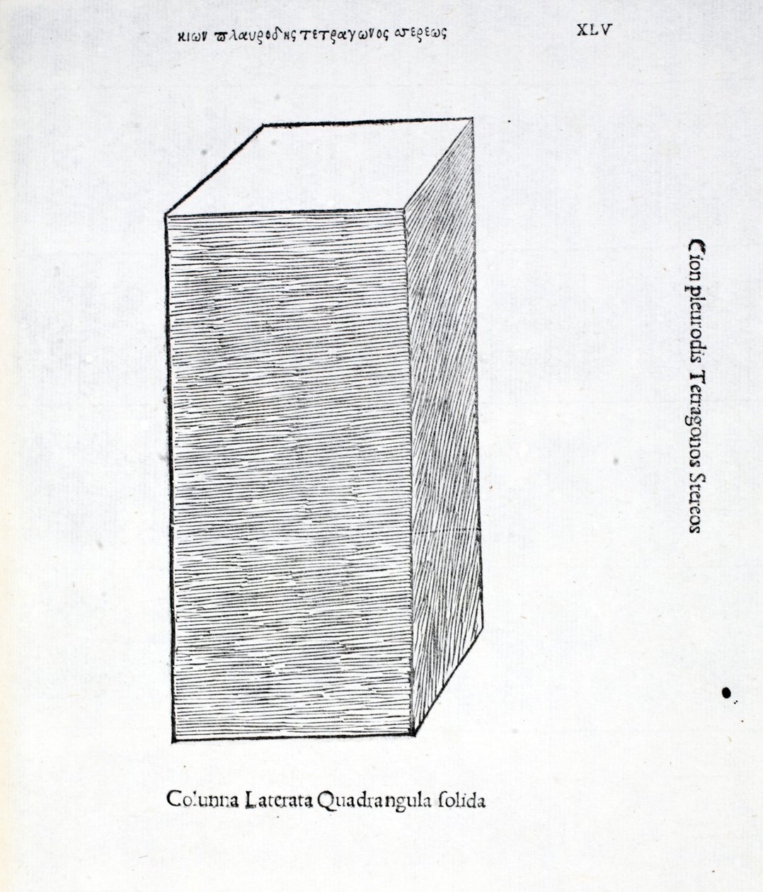 Columna laterata quadrangula solida, illustratie uit 