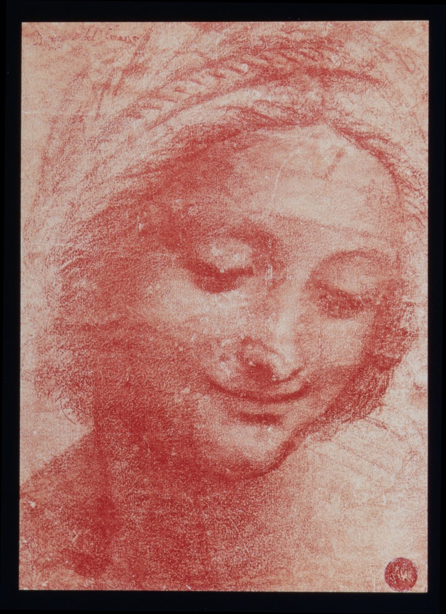 Hoofd van een vrouw door Leonardo da Vinci