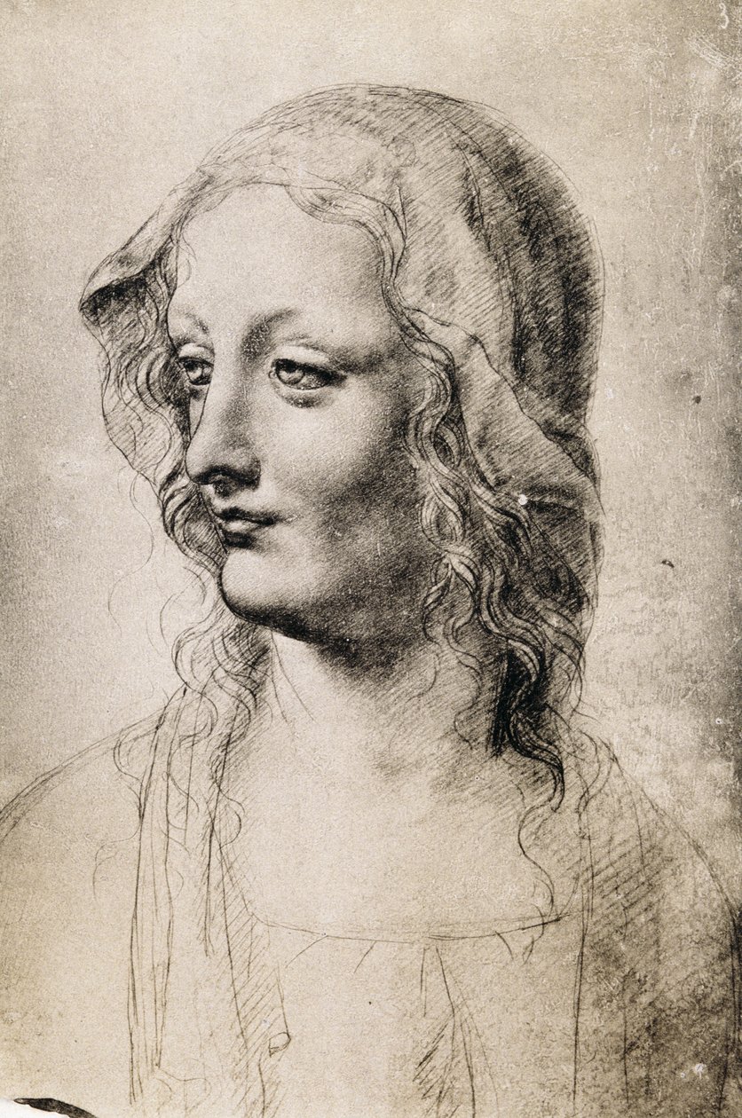 Hoofd van een jonge vrouw door Leonardo da Vinci
