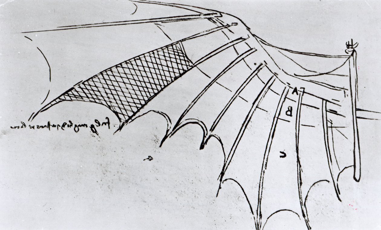 M S B 2173 fol. 74r Studies van vleugelarticulatie, 1487-90 door Leonardo da Vinci