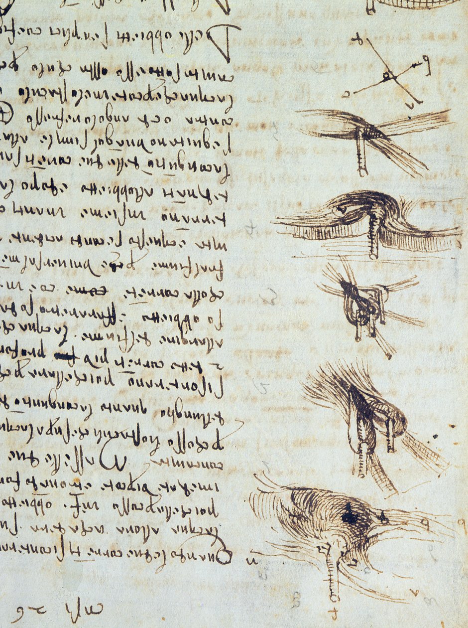 Wetenschappelijke diagrammen, uit de Codex Leicester, 1508-12 (detail) door Leonardo da Vinci