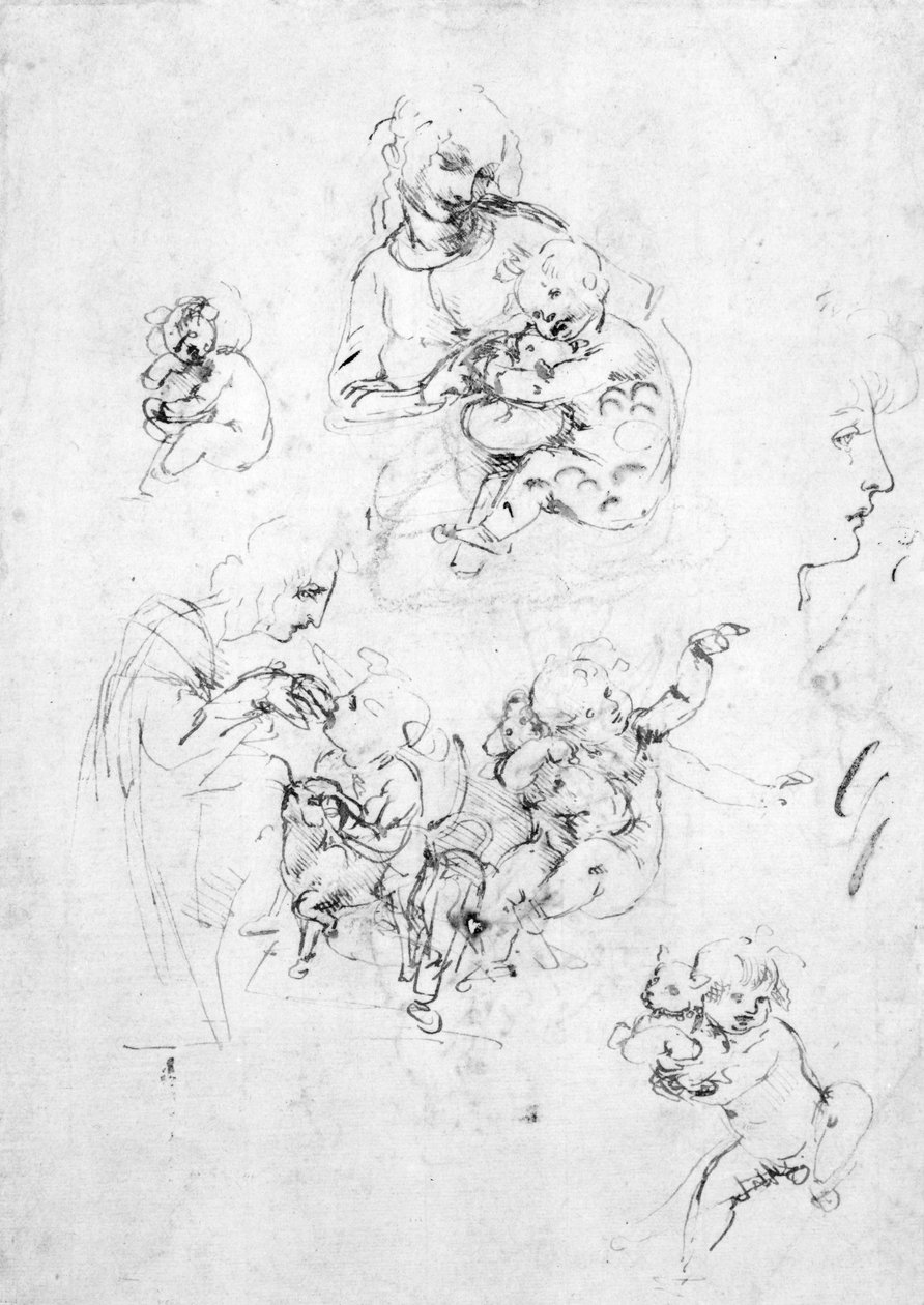 Studies voor een Madonna met een kat, c.1478-80 door Leonardo da Vinci