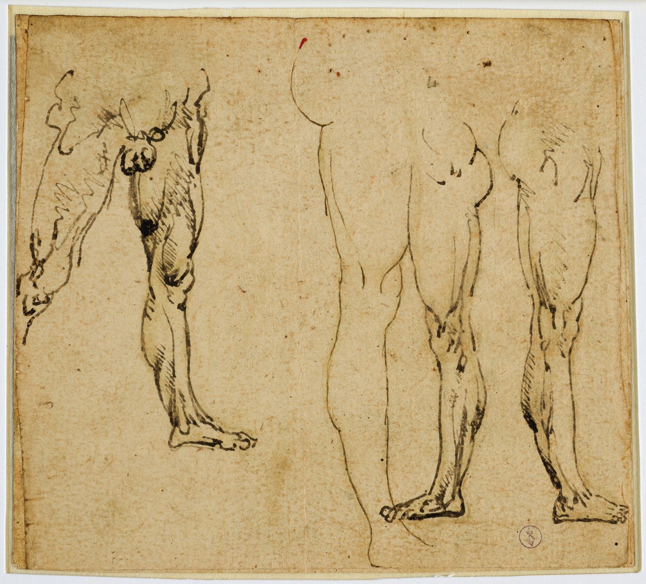 Studies van mannelijke benen, c. 1485-1487 door Leonardo da Vinci