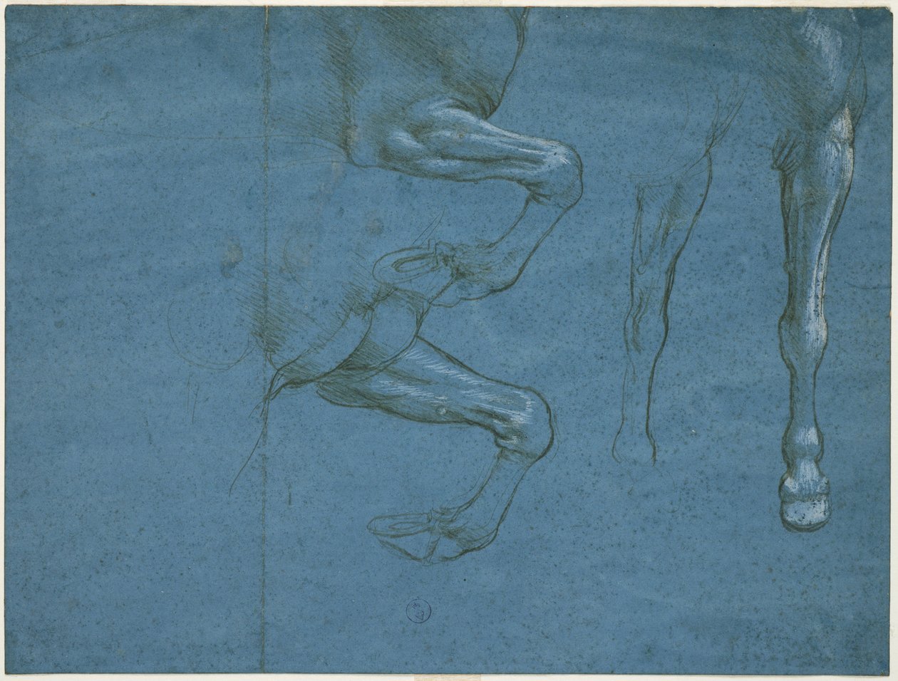 Studies van de voorbenen van het paard, c. 1490 door Leonardo da Vinci