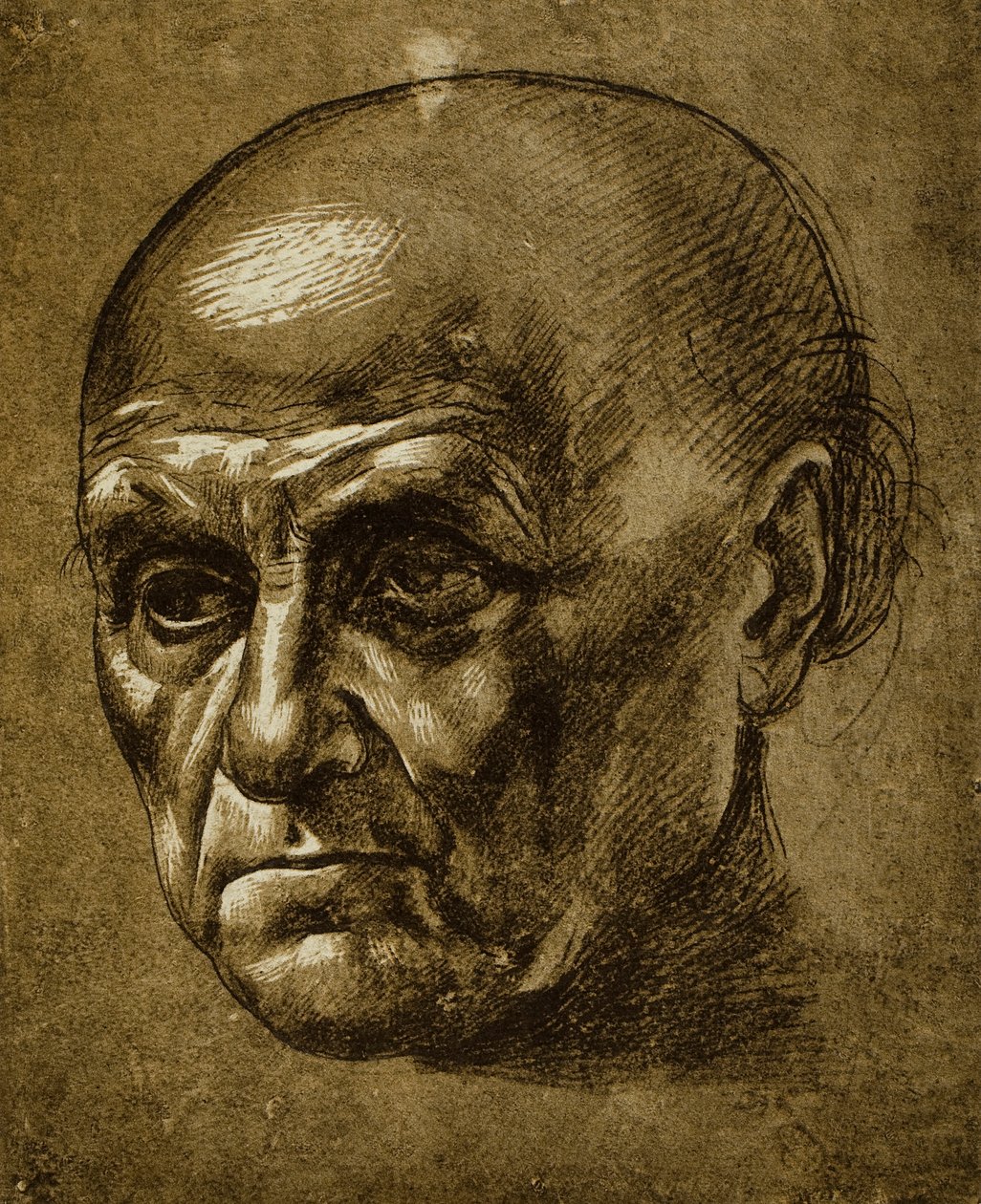 Studie van een mannelijk gezicht door Leonardo da Vinci