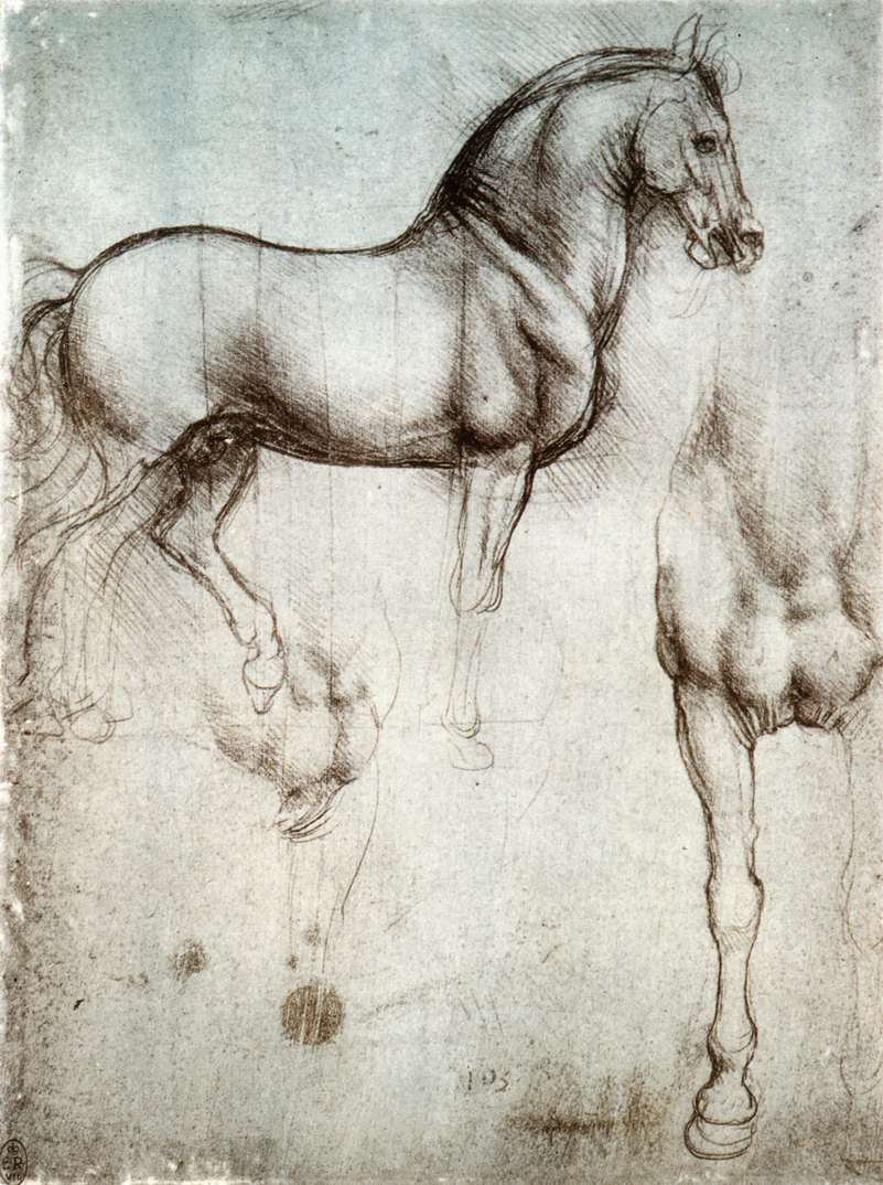 Studie van paarden door Leonardo da Vinci