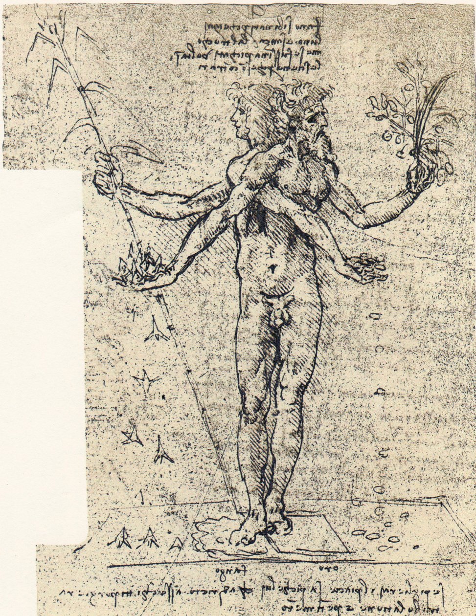 onbekende tekening van androgyn corpus met twee hoofden door Leonardo da Vinci
