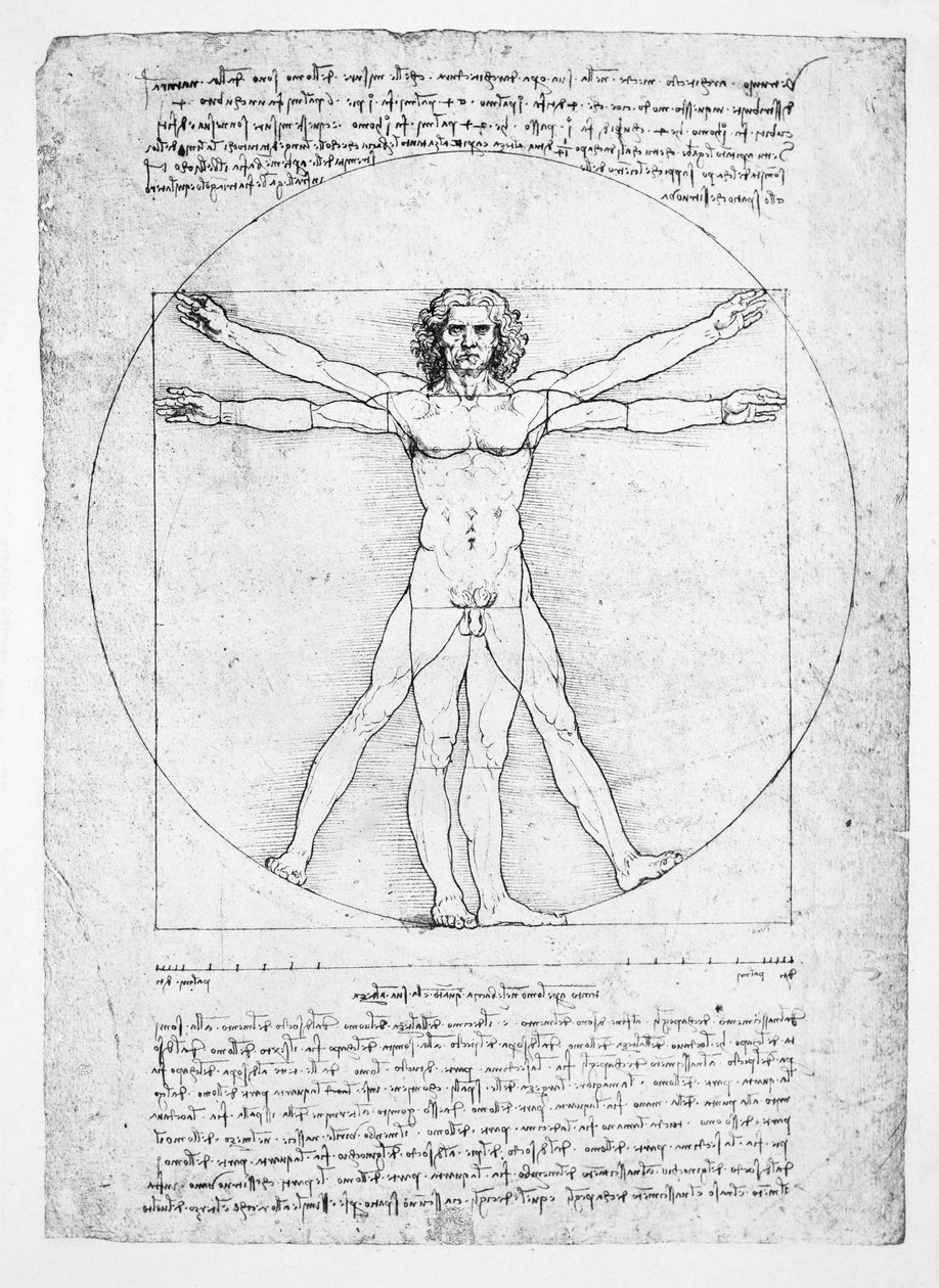 De Verhoudingen van het Menselijk Lichaam (naar Vitruvius) door Leonardo da (after) Vinci