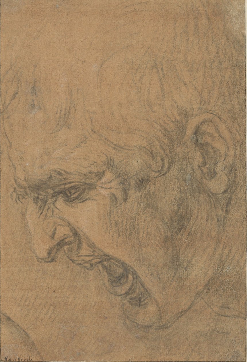 Hoofd van een schreeuwende man door Leonardo da (follower of) Vinci