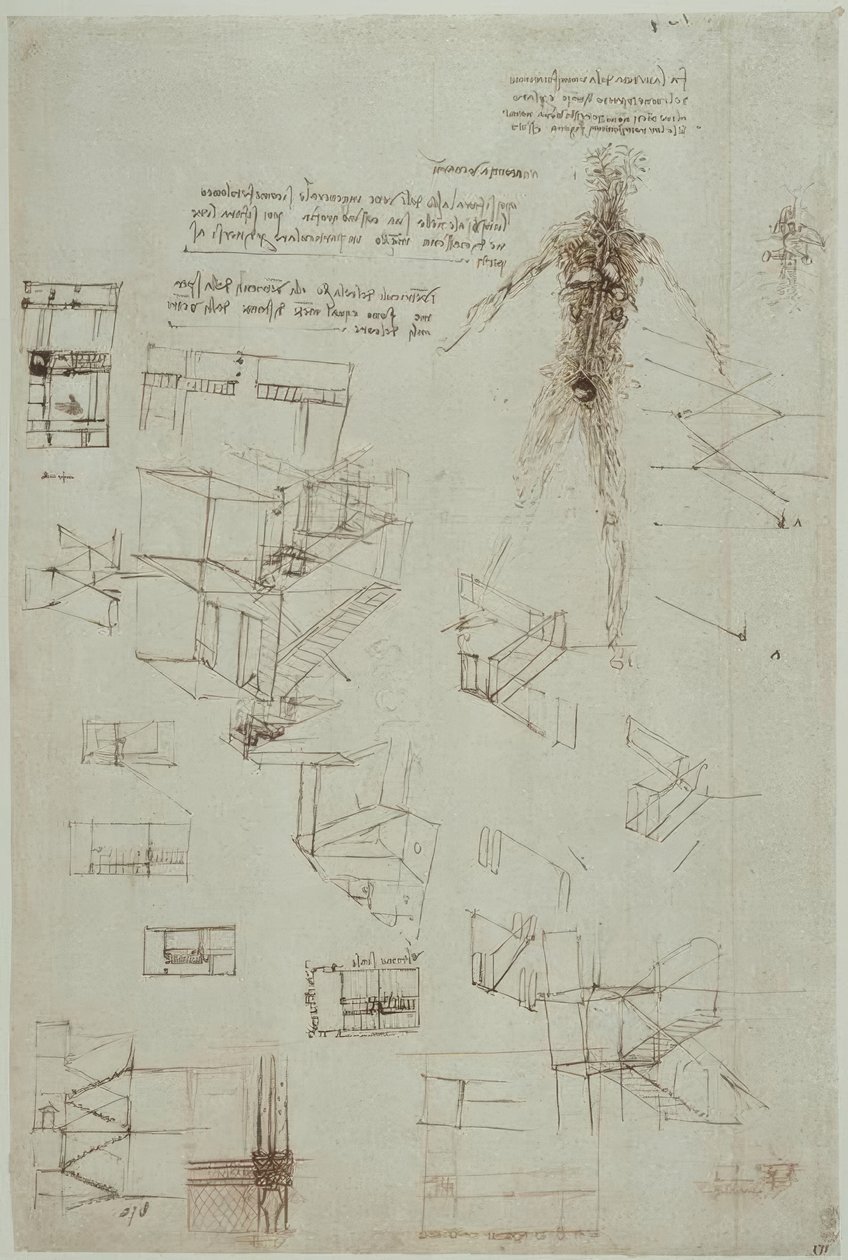 Anatomiestudies door Leonardo da Vinci