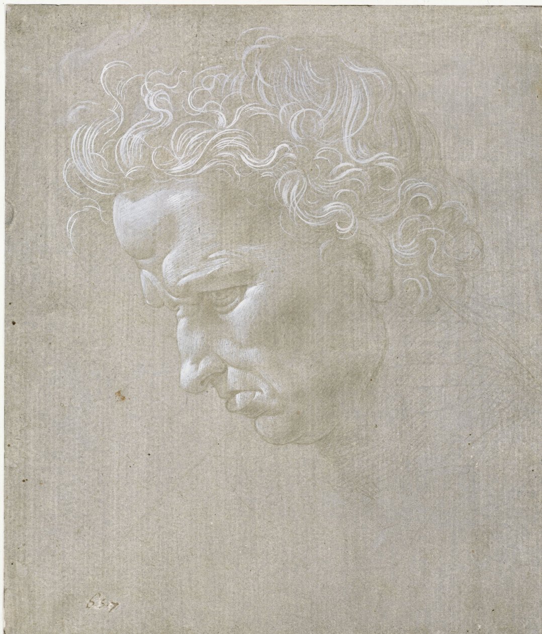 Profiel van het gezicht van een man door Leonardo da Vinci