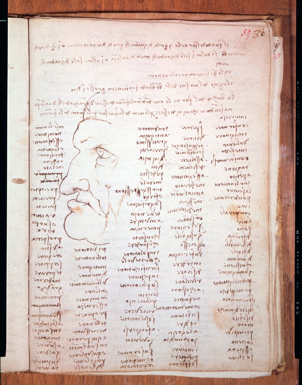 Codex Trivulziano door Leonardo da Vinci - Trivulziana Bibliotheek, Milaan door Leonardo da Vinci