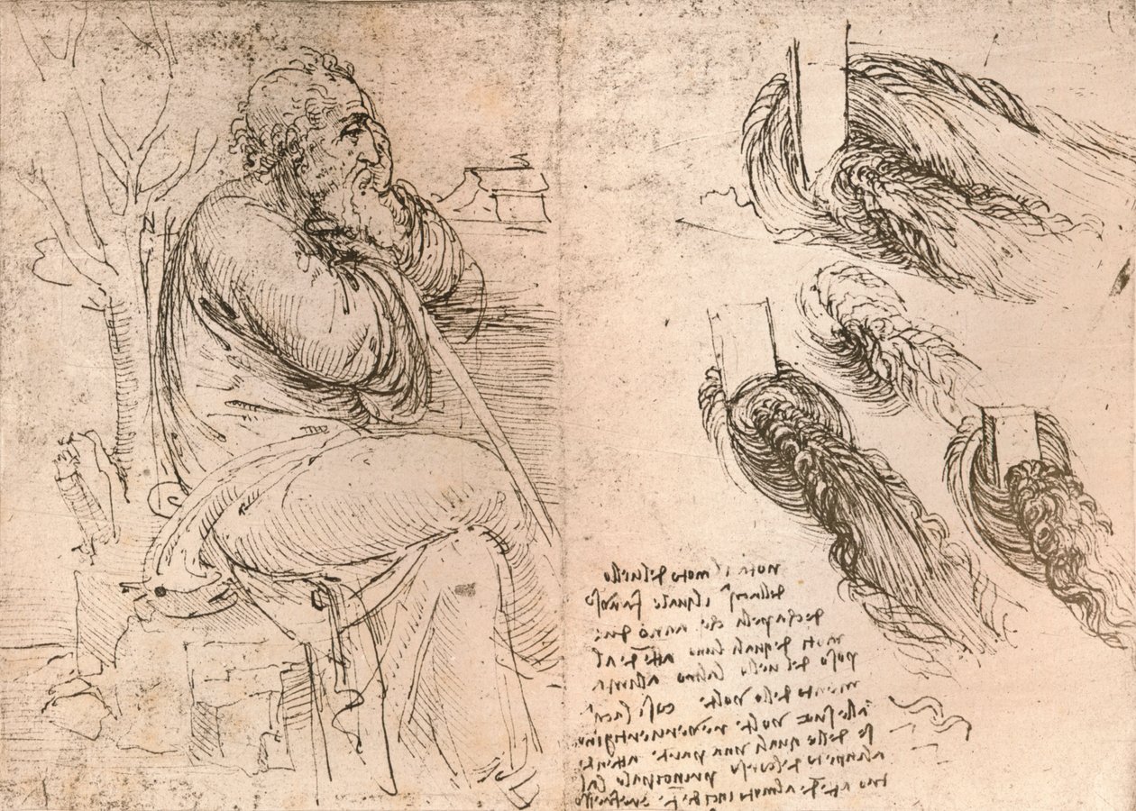 Tekening die de weergave van haar dat in krullen valt illustreert, c1472-c1519 1883 door Leonardo da Vinci