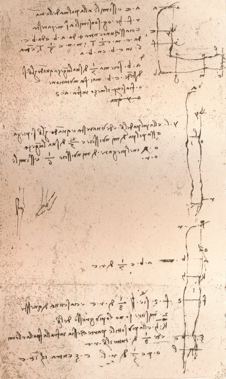 Tekening ter illustratie van de theorie van de proporties van het menselijk figuur door Leonardo da Vinci