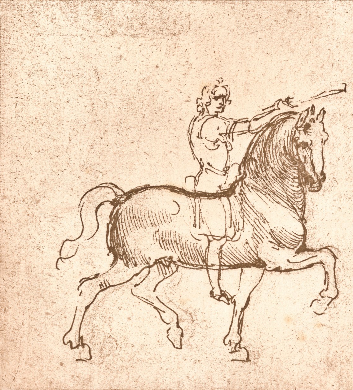 Tekening van een wandelend paard, ca. 1472-ca. 1519, 1883 door Leonardo da Vinci