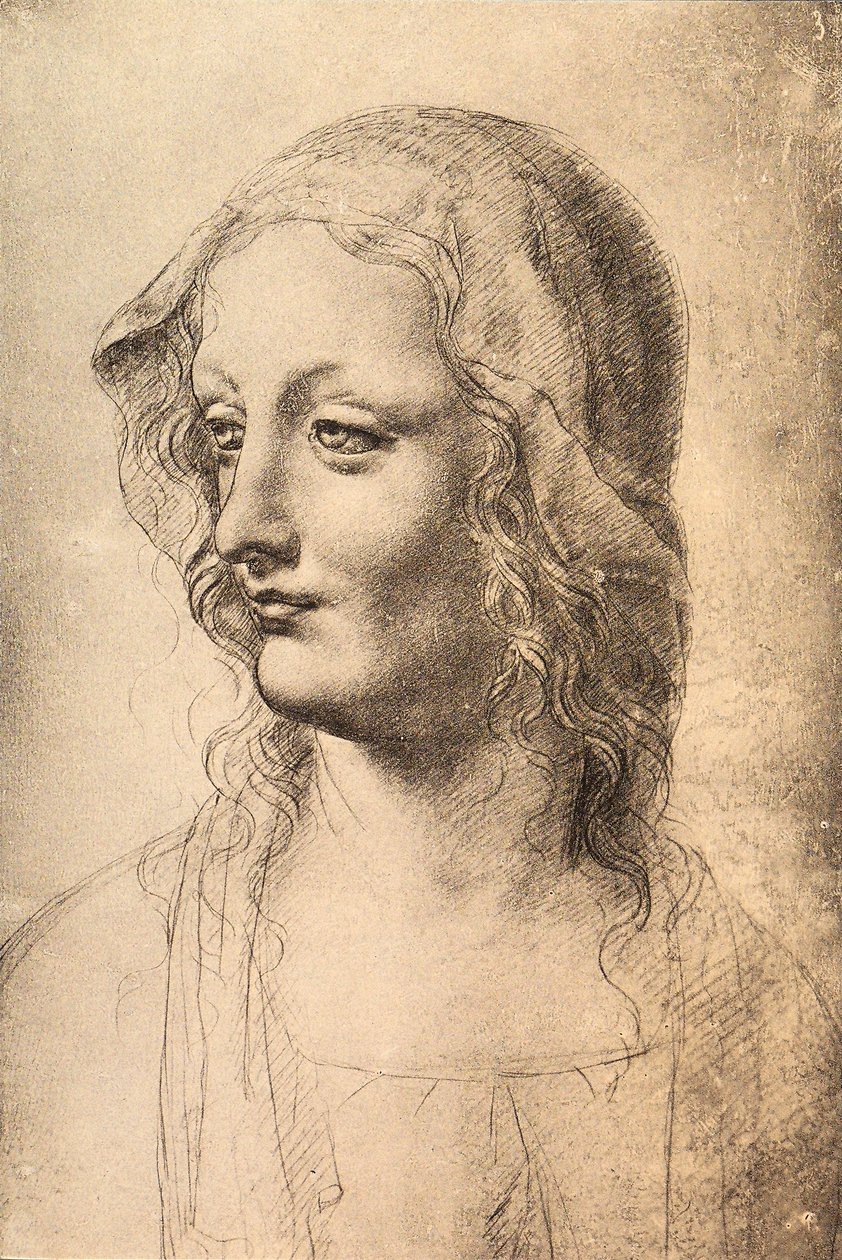 Hoofd van een jonge vrouw door Leonardo da Vinci