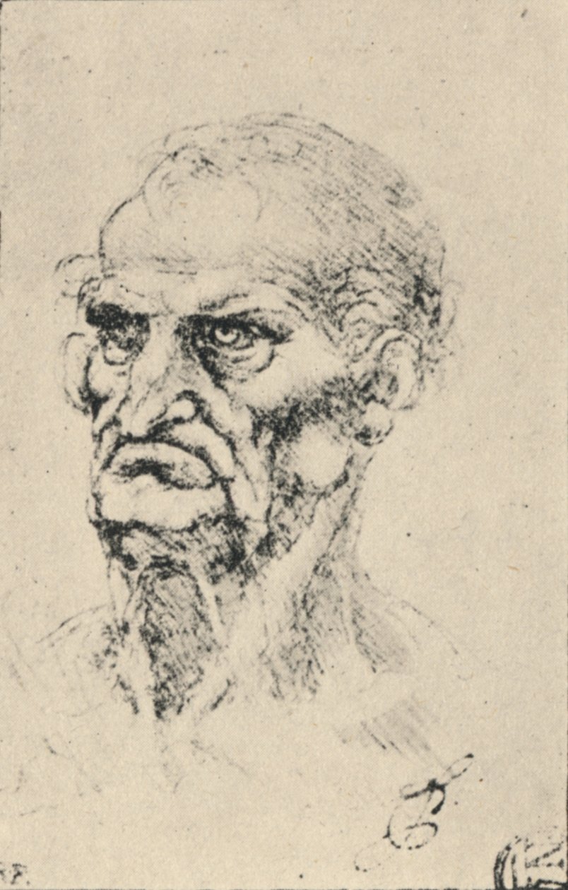 Hoofd van een oude man driekwart naar links, ca. 1480 1945 door Leonardo da Vinci
