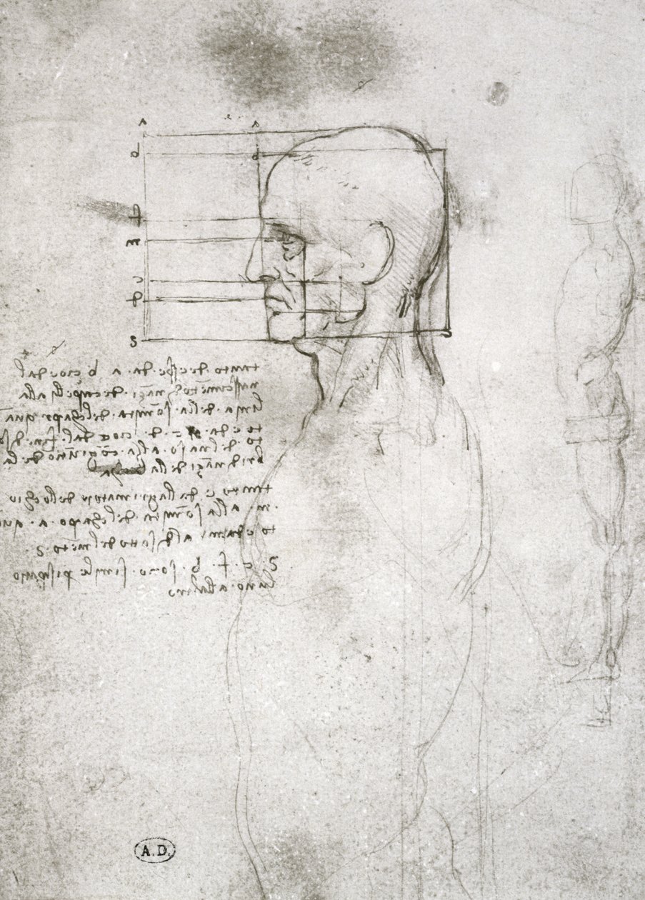 Hoofd van een oude man in profiel, facsimile kopie door Leonardo da Vinci