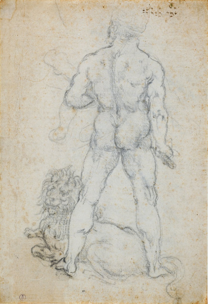 Hercules en de Nemeïsche leeuw, c. 1506-08 door Leonardo da Vinci