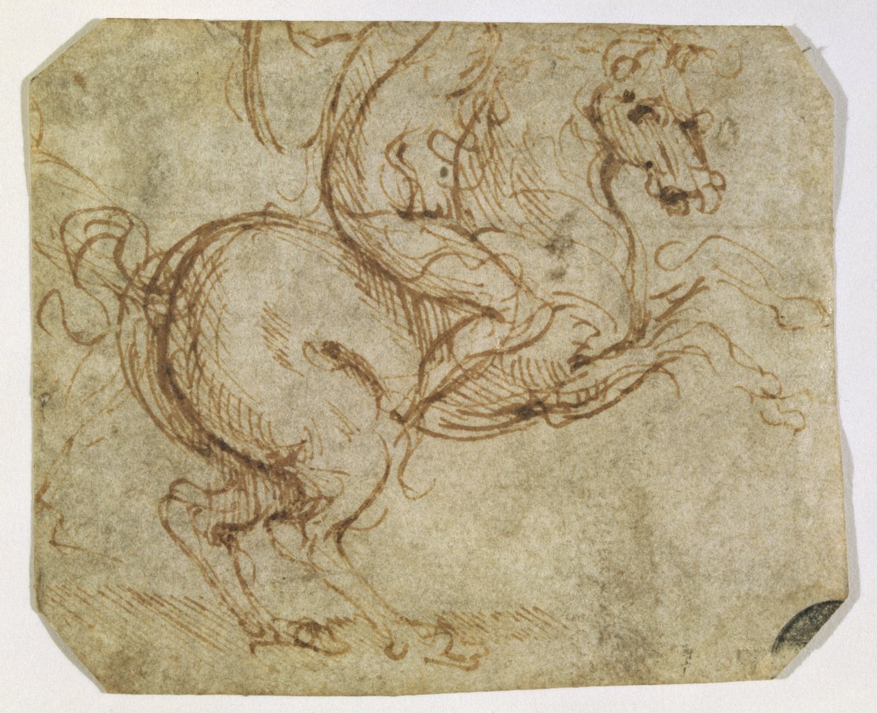 Paard en ruiter door Leonardo da Vinci