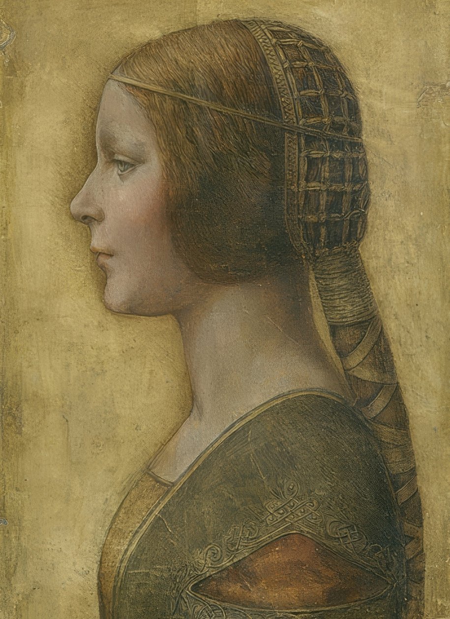 La Bella Principessa door Leonardo da Vinci