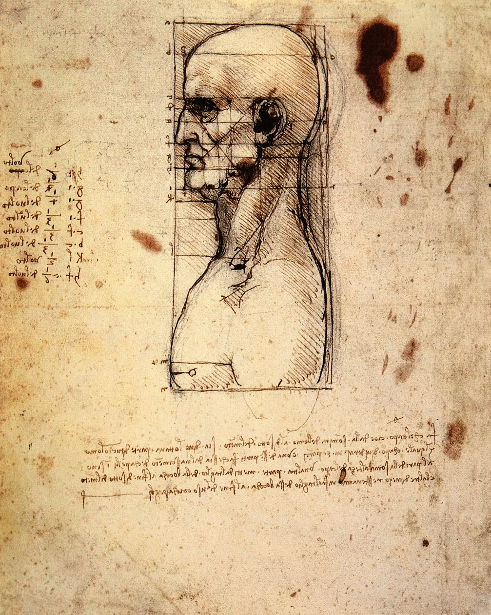 Mannelijk hoofd in profiel met verhoudingen door Leonardo da Vinci