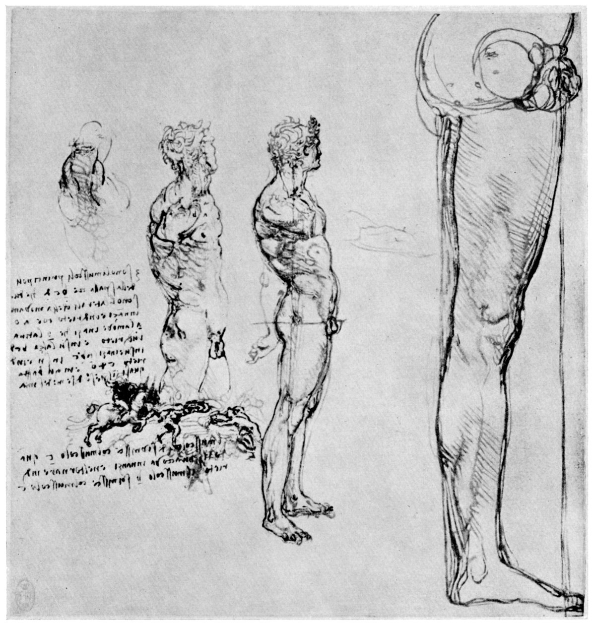 Naaktstudies voor De Slag bij Anghiari, ca. 1503-1505 1954 door Leonardo da Vinci