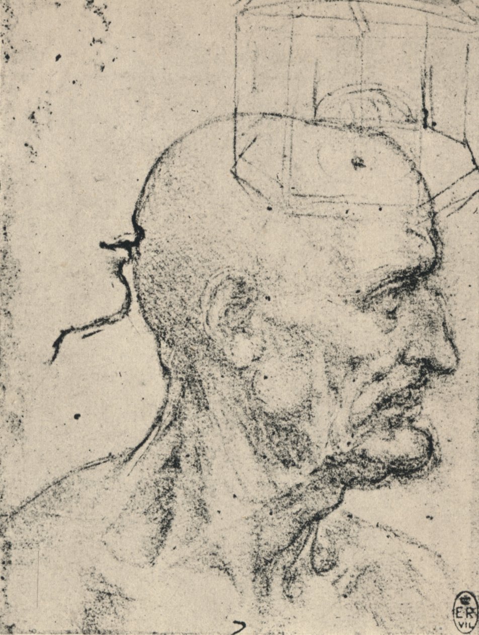 Profiel naar rechts van een kale man door Leonardo da Vinci