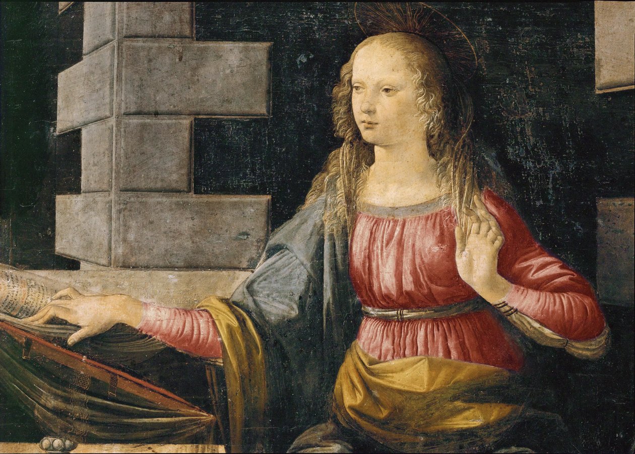 Heilige Maria (olieverf op hout) door Leonardo da Vinci