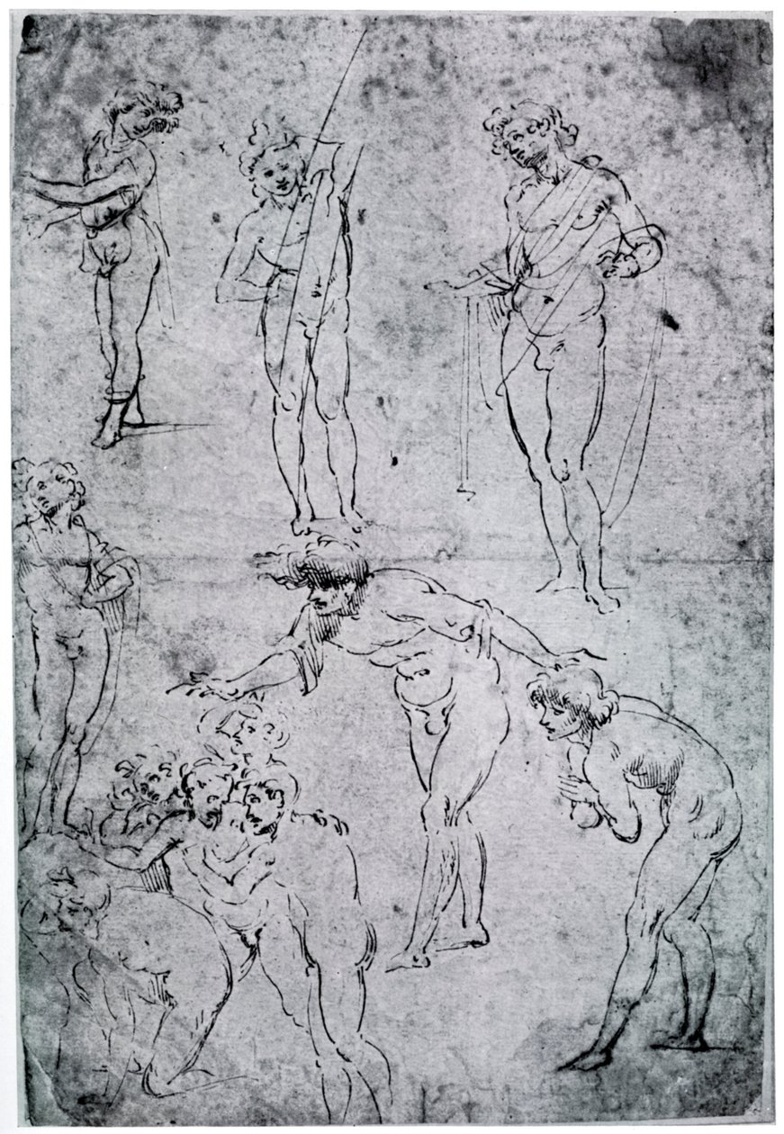 Studies voor De aanbidding der wijzen, 15e eeuw, 1954 door Leonardo da Vinci