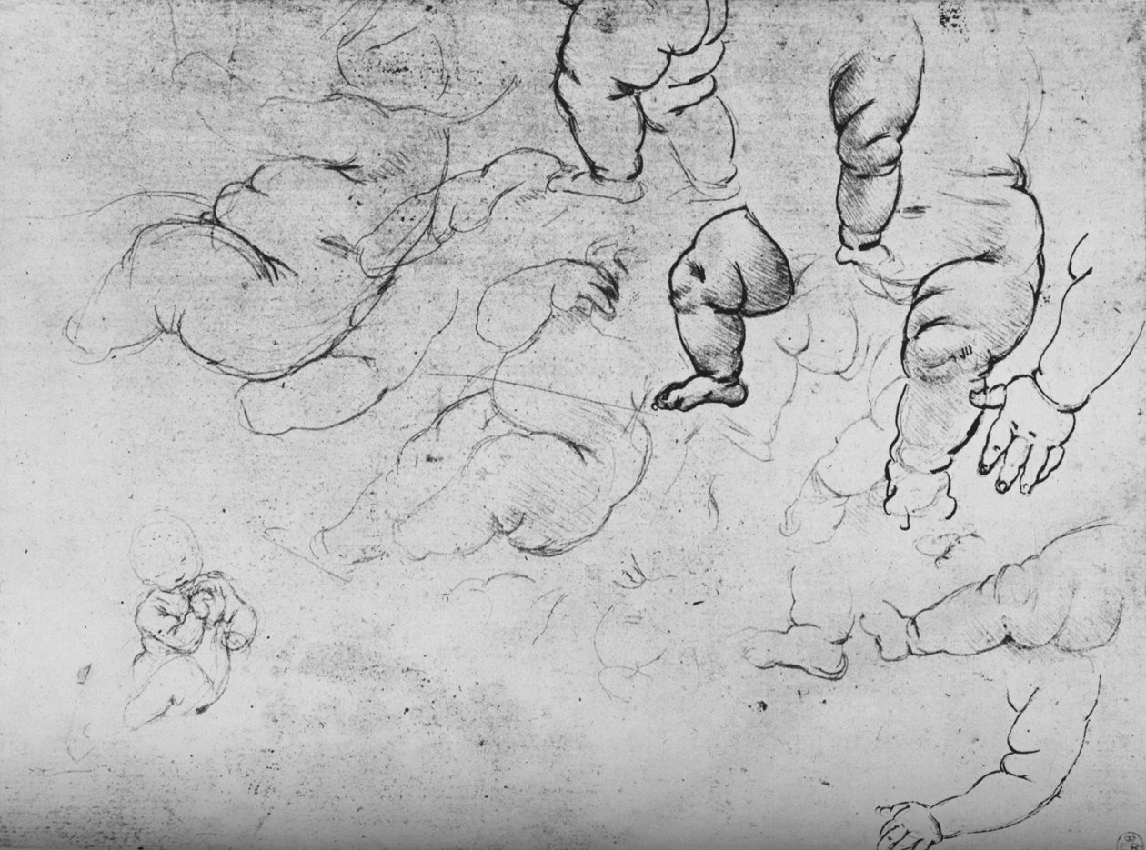 Studies van een Kind door Leonardo da Vinci