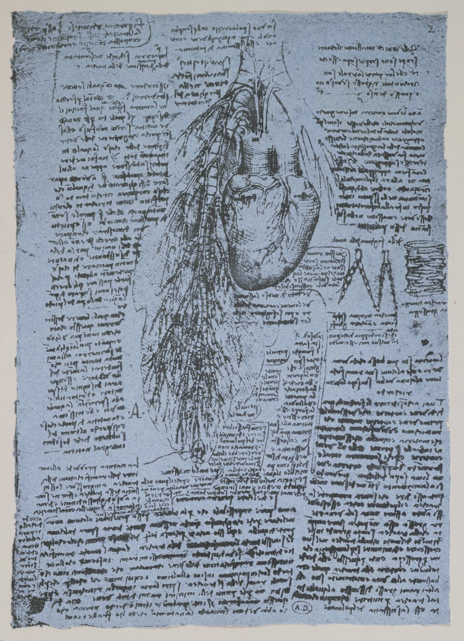 Het hart en de bronchiale slagaders, facsimile van het Windsor-boek door Leonardo da Vinci